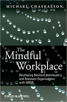 The Mindful Workplace